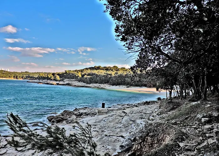 Lejlighed In Center *